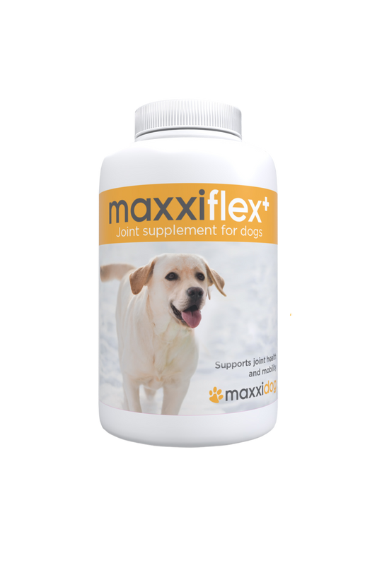 MaxxiFlex - Fyrir liðina